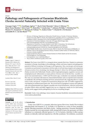 (Turdus Merula) Naturally Infected with Usutu Virus