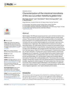 Characterization of the Intestinal Microbiota of the Sea Cucumber Holothuria Glaberrima