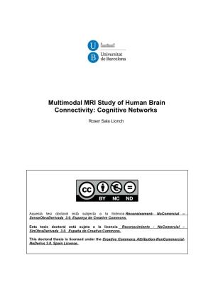 Multimodal MRI Study of Human Brain Connectivity: Cognitive Networks