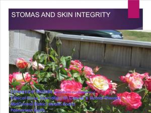 Stomas and Skin Integrity