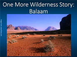 One More Wilderness Story: Balaam