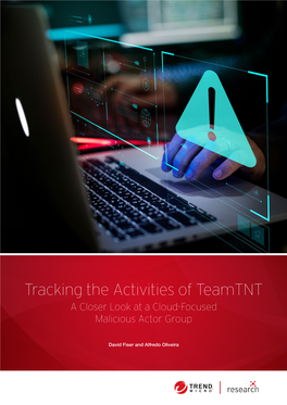 Tracking the Activities of Teamtnt: a Closer Look at a Cloud-Focused