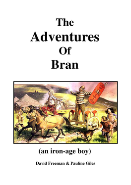 Bran an Iron Age