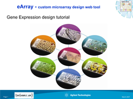 Designing Custom Gene Expression Arrays Using Earray