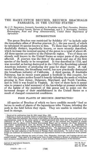 The Genus Bruchus Was Restricted by Schilsky (6