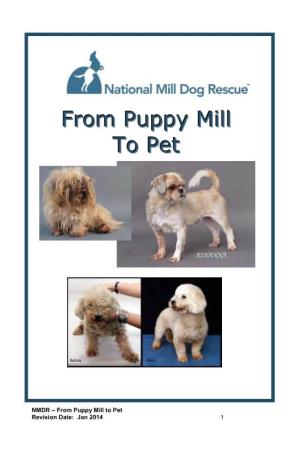 From Puppy Mill to Pet Revision Date: Jan 2014 1