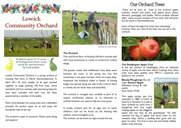 Lowick Community Orchard Is a Young Orchard at Planted in Our Orchard