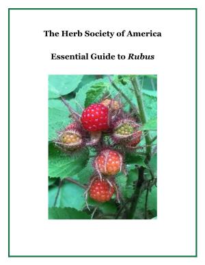 Essential Guide to Rubus