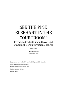 SEE the PINK ELEPHANT in the COURTROOM? Private Individuals Should Have Legal Standing Before International Courts