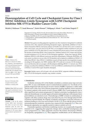 Downregulation of Cell Cycle and Checkpoint Genes by Class I HDAC Inhibitors Limits Synergism with G2/M Checkpoint Inhibitor MK-1775 in Bladder Cancer Cells