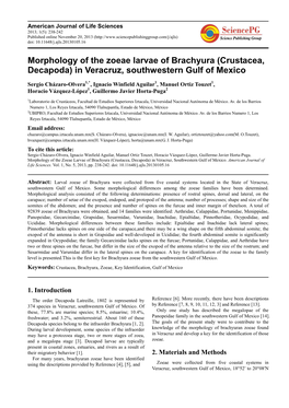 Morphology of the Zoeae Larvae of Brachyura (Crustacea, Decapoda) in Veracruz, Southwestern Gulf of Mexico