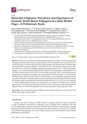 Molecular Diagnosis, Prevalence and Importance of Zoonotic Vector-Borne Pathogens in Cuban Shelter Dogs—A Preliminary Study