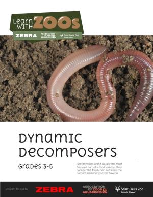 Dynamic Decomposers