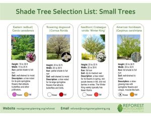 Shade Tree Selection List: Small Trees