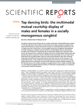 Tap Dancing Birds: the Multimodal Mutual Courtship Display of Males