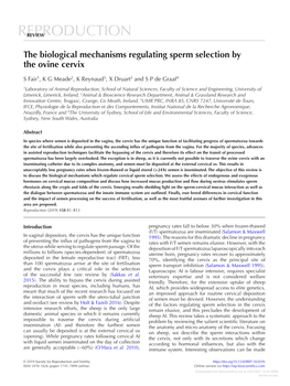 The Biological Mechanisms Regulating Sperm Selection by the Ovine Cervix