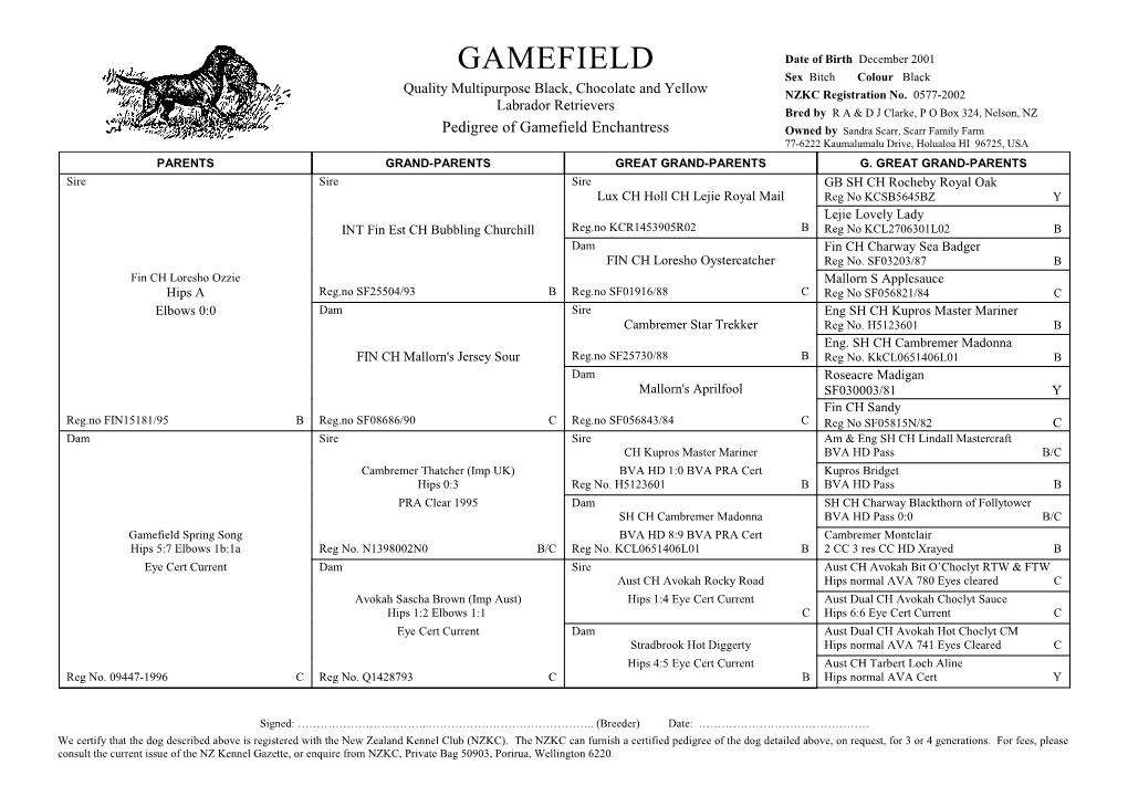 Pedigree of Gamefield Enchantress