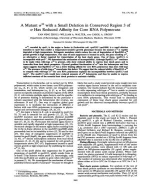O* Has Reduced Affinity for Core RNA Polymerase YAN NING ZHOU,T WILLIAM A
