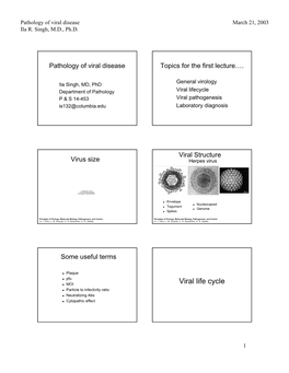 Pathology of Viral Disease Ila R. Singh, MD, Ph.D. March 21, 2003 1