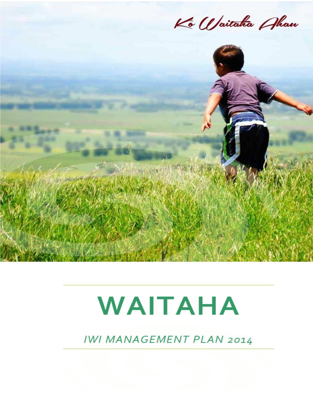 Waitaha-Iwi-Management-Plan-2014.Pdf