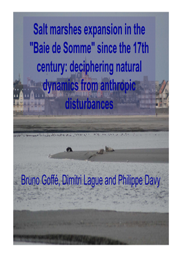 Salt Marshes Expansion in the "Baie De Somme" Since the 17Th Century: Deciphering Natural Dynamics from Anthropic Disturbances