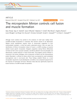 The Microprotein Minion Controls Cell Fusion and Muscle Formation
