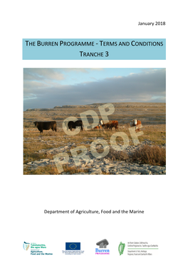 The Burren Programme -‐ Terms and Conditions