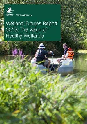 Valuing Wetlands