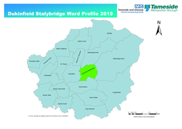 Dukinfield Stalybridge Ward Profile 2019