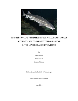 Distribution and Migration of Sonic-Tagged Sturgeon with Regards to Overwintering Habitat in the Lower Fraser River, 2009-10