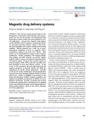 Magnetic Drug Delivery Systems