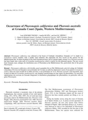 Occurrence of Phoronopsis Californica and Phoronis Australis at Granada Coast (Spain, Western Mediterranean)