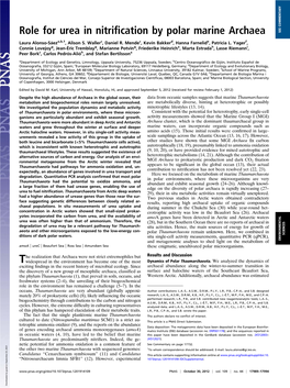 Role for Urea in Nitrification by Polar Marine Archaea