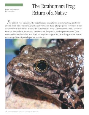 The Tarahumara Frog: Return of a Native
