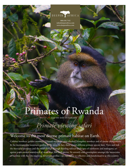 Primates of Rwanda DAY-BY-DAY ITINERARY Primate Viewing Safari