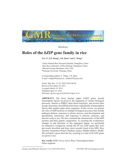 Roles of the Bzip Gene Family in Rice