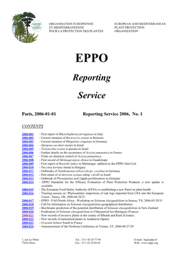 Reporting Service 2006, No