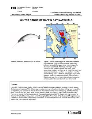 Winter Range of Baffin Bay Narwhals