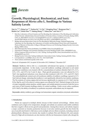 Growth, Physiological, Biochemical, and Ionic Responses of Morus Alba L