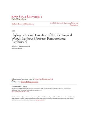 Phylogenetics and Evolution of the Paleotropical Woody Bamboos (Poaceae: Bambusoideae: Bambuseae) Hathairat Chokthaweepanich Iowa State University