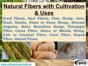 Natural Fibers with Cultivation & Uses (Leaf Fibres, Bast Fibres, Flax
