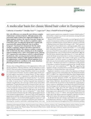 A Molecular Basis for Classic Blond Hair Color in Europeans