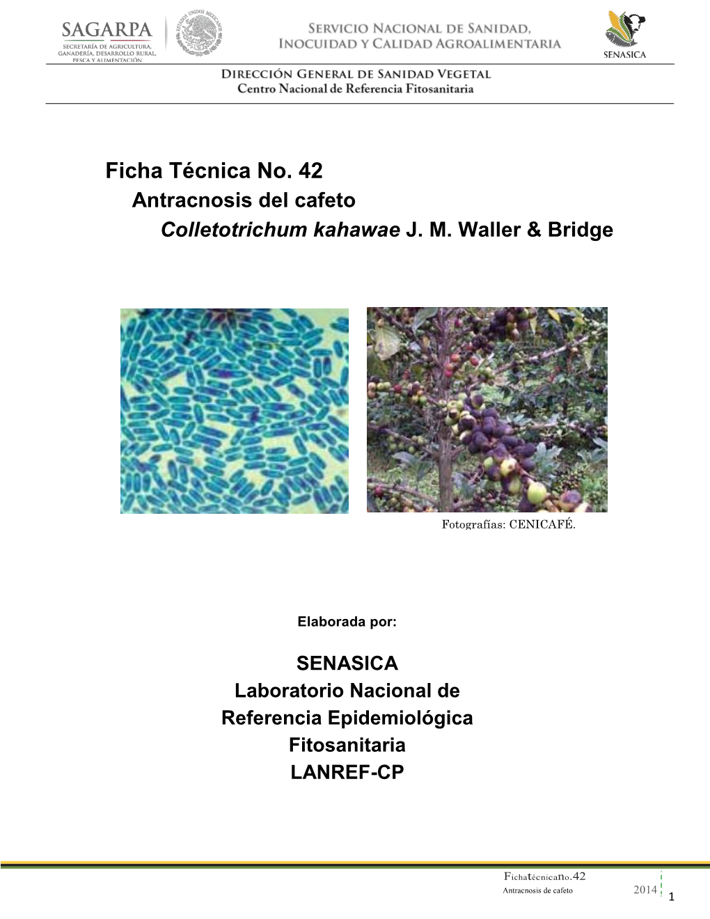 Ficha Técnica No. 42