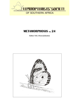 METAMORPHOSIS No. 24
