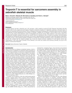 Troponin T Is Essential for Sarcomere Assembly in Zebrafish Skeletal Muscle
