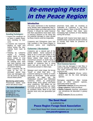 Re-Emerging Pests in the Peace Region