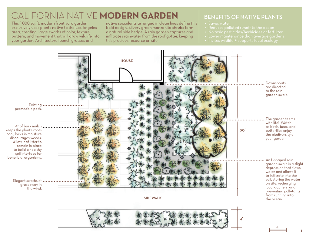 CALIFORNIA NATIVE MODERN GARDEN BENEFITS of NATIVE PLANTS This 1000 Sq