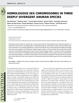 Homologous Sex Chromosomes in Three Deeply Divergent Anuran Species