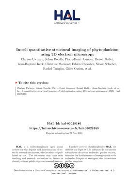 In-Cell Quantitative Structural Imaging of Phytoplankton Using 3D Electron Microscopy
