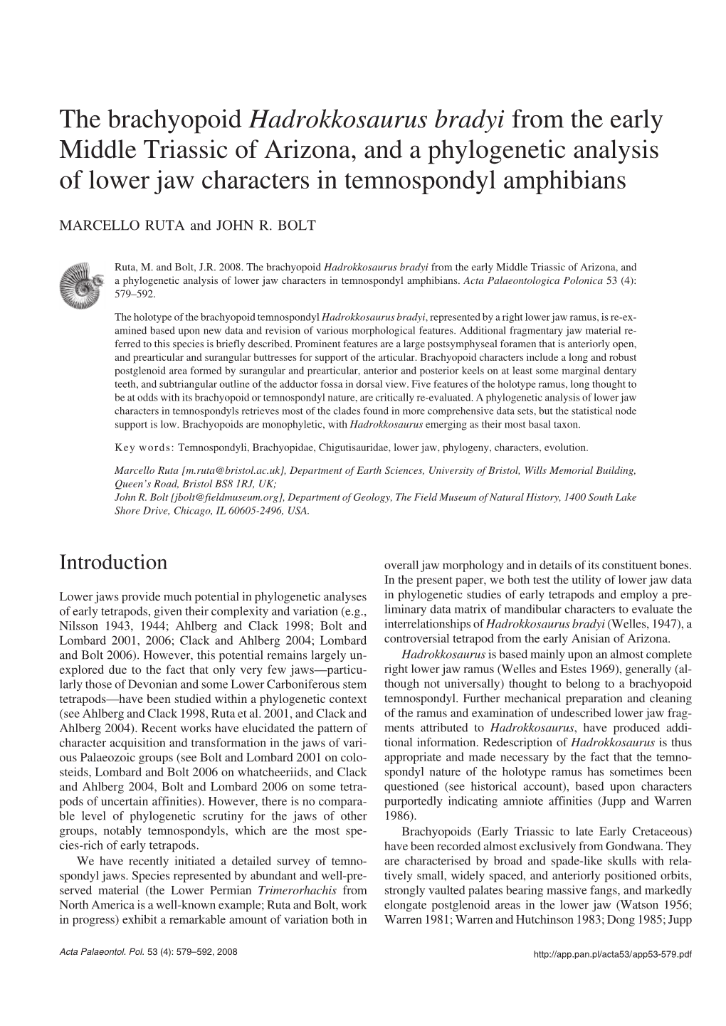 Hadrokkosaurus Bradyi from the Early Middle Triassic of Arizona, and a Phylogenetic Analysis of Lower Jaw Characters in Temnospondyl Amphibians